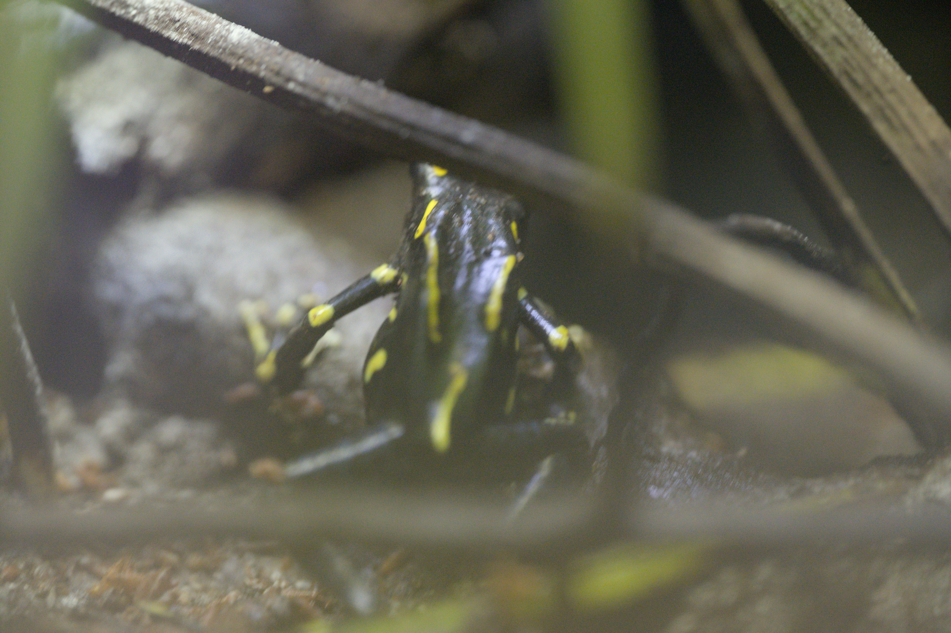 2025/10/12 - zoo/DSC_0187.jpg